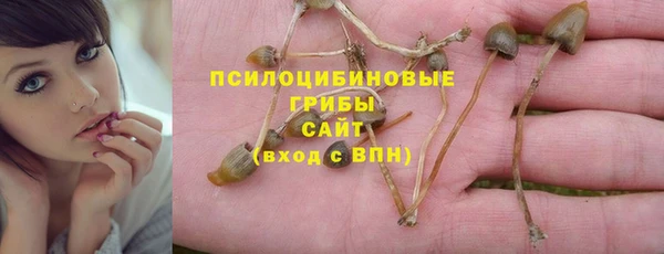 мет Аркадак