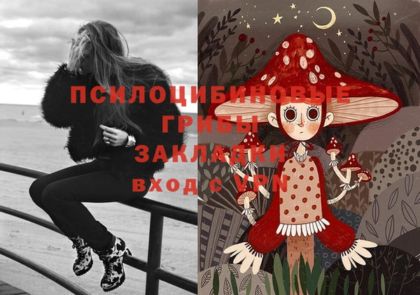 стафф Армянск