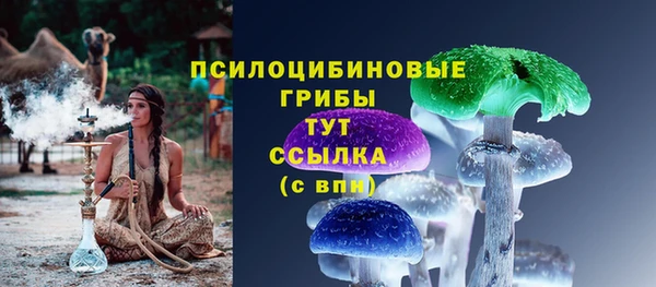 мет Аркадак