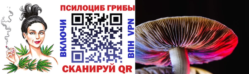 Псилоцибиновые грибы Psilocybe купить наркотик Байкальск
